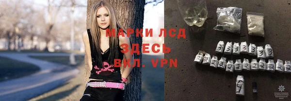 a pvp Новозыбков