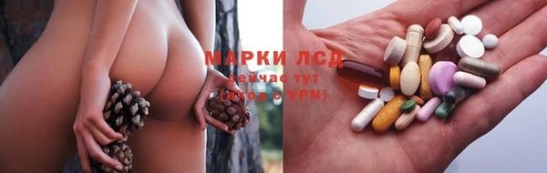 дурь Новодвинск