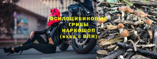 дурь Новодвинск