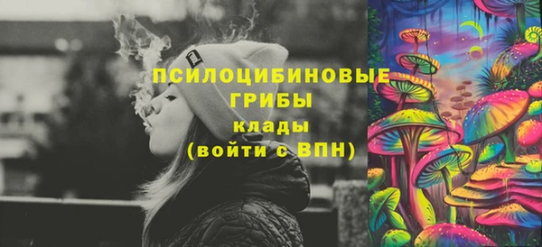 спиды Нея