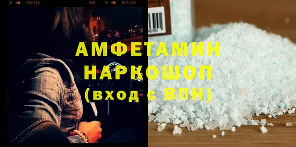 прущие грибы Новокубанск